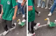 VIDEO Merl�n, el pato mundialista que se rob� el show en el triunfo de M�xico