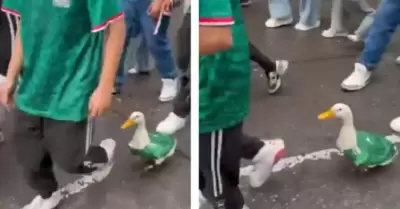 Merl�n, el pato mundialista.