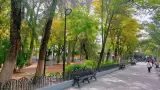 Alameda de Celaya, Guanajuato
