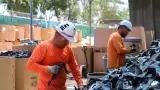 Ceresos de Sonora