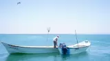 Pesca deportiva