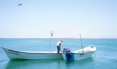 Pesca deportiva