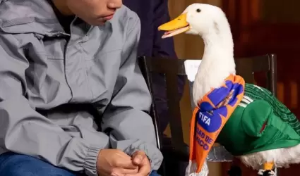 El pato Merlin fue invitado por la presidenta a la conferencia ma�anera