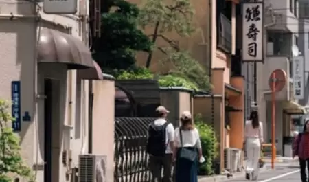 Jap�n