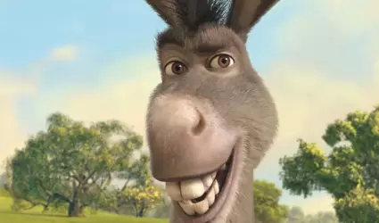 Burro