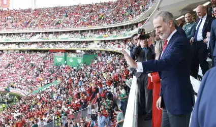 Rey de Espa�a, Felipe VI