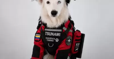 Tsunami
