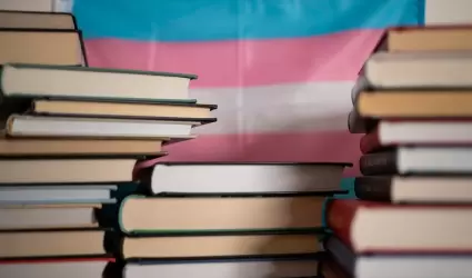 Literaturas LGBT+ de M�xico
