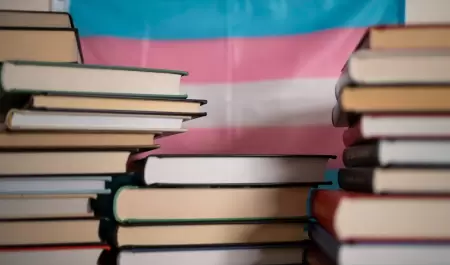 Literaturas LGBT+ de M�xico