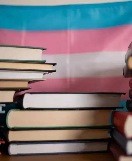 Literaturas LGBT+ de M�xico