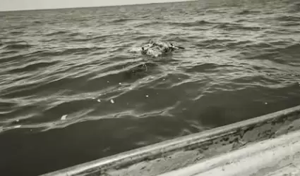 Cuerpos flotando en el mar