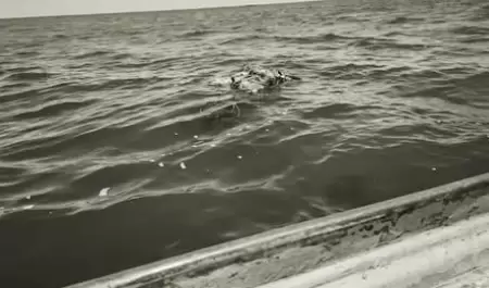 Cuerpos flotando en el mar