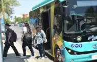 H Bus ampl�a servicio en verano