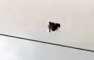 VIDEO.- Captan misterioso objeto en el cielo de Ecuador