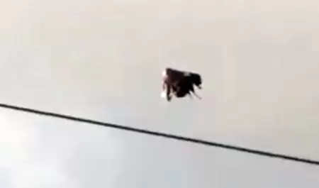 Captan misterioso objeto en el cielo de Ecuador