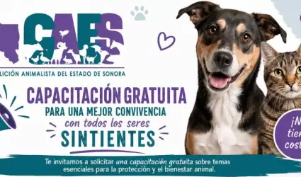 Coalici�n animalista