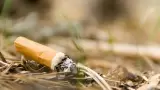 Colillas de cigarro