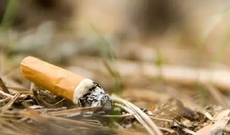 Colillas de cigarro
