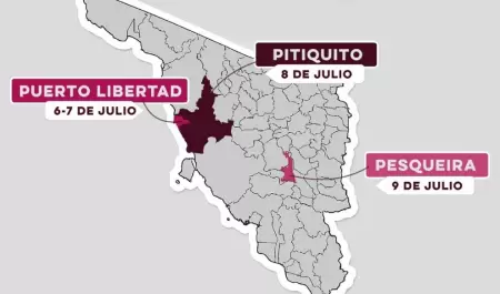 Agencia Fiscal M�vil