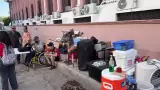 Plant�n de Covafam