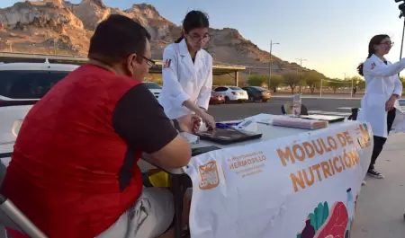 Consultas de nutrici�n