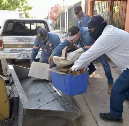 Jornada de descacharre
