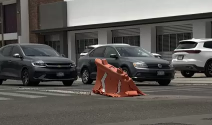 Baches