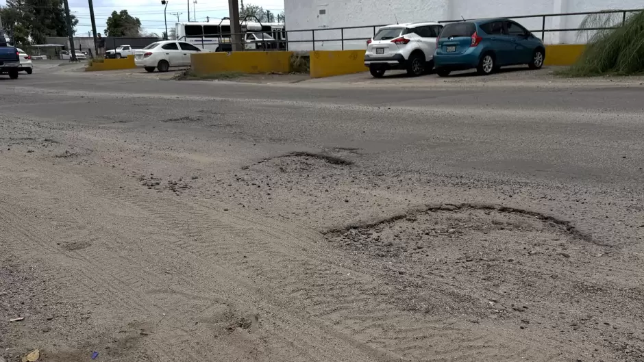 Baches