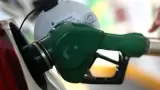 Gasolina