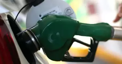 Gasolina
