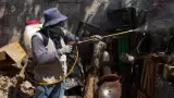 Dengue
