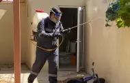 Todas las acciones contra dengue y rickettsia son gratuitas