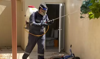 Dengue
