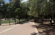 Alertan por presunto alimento envenenado para perros en Parque Madero