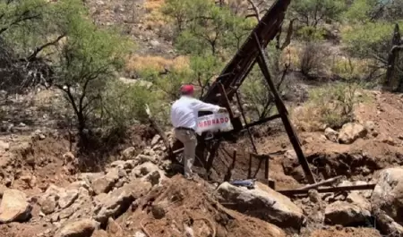 Profepa clausur� de manera temporal dos predios en Sonora.