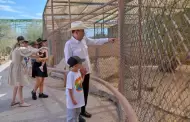 Centro Ecol�gico celebra la llegada de 73 ejemplares
