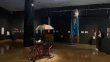 Exposici�n en Musas