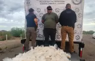 Aseguran 200 kilos de presunta metanfetamina en Caborca