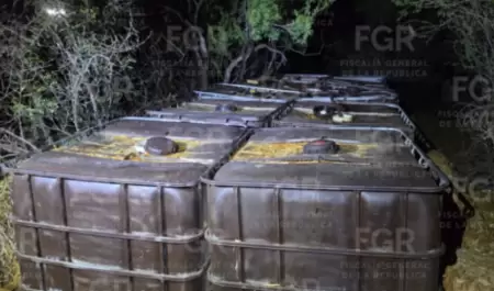 Aseguran contenedores con hidrocarburo