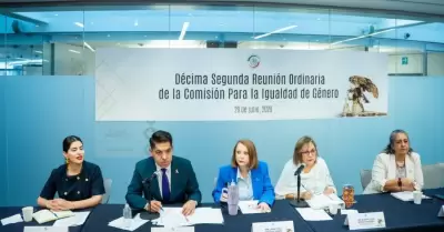 Comisi�n para la Igualdad de G�nero
