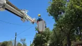 Trabajos de CFE