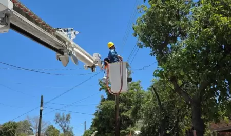 Trabajos de CFE