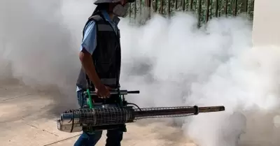 Combate al dengue