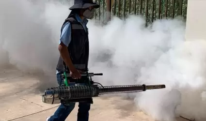 Combate al dengue