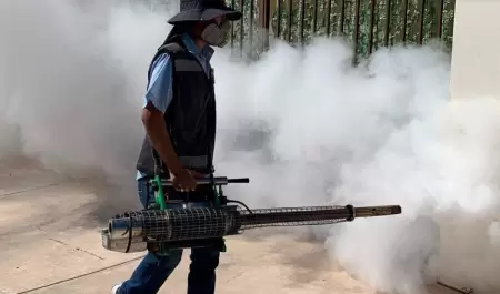 Combate al dengue