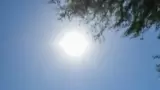 Calor