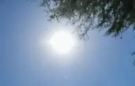�Cuidado con el calor extremo!