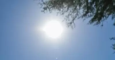 Calor