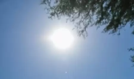 Calor