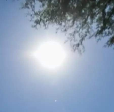 Calor